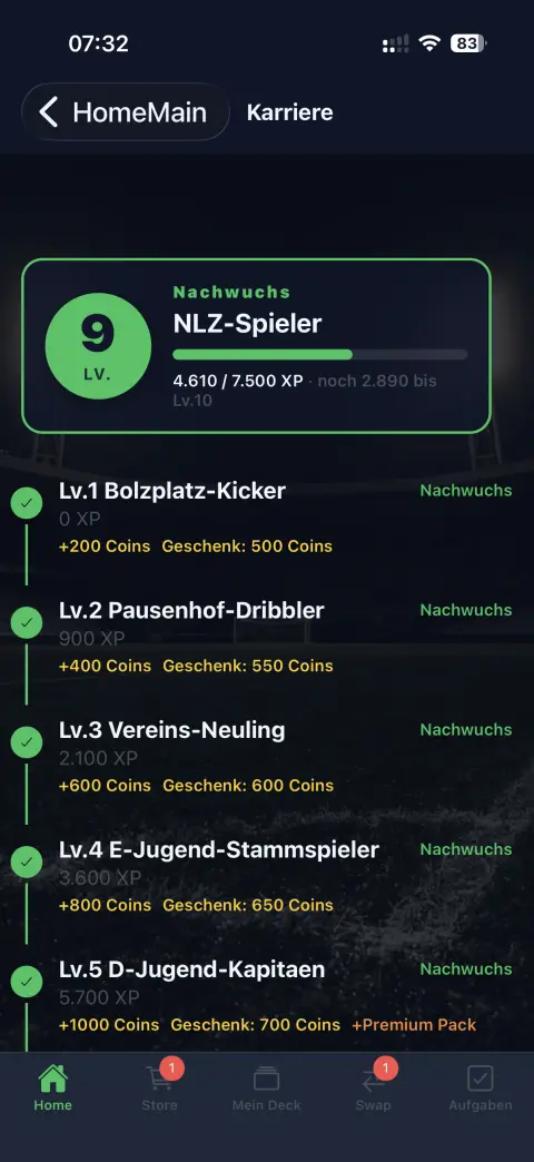 Karriere &ndash; Level & Fortschritt
